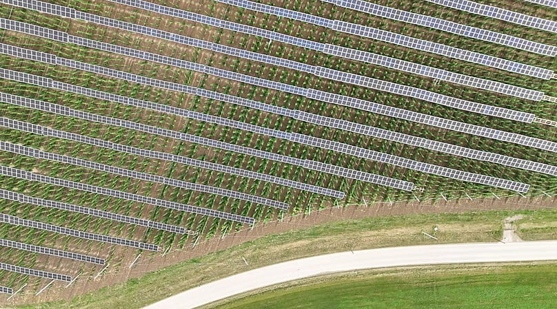 Mit Agri-PV ist beides zugleich möglich: Hopfenanbau und die Erzeugung von Solarenergie.