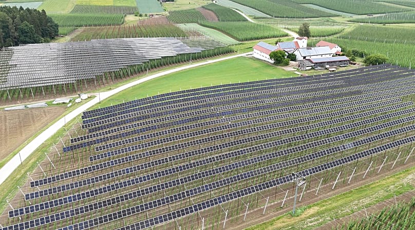 Josef Wimmers Hopfenanbaubetrieb ist in der gesamten Region bekannt: Die hochmoderne Agri-PV-Anlage lockt Besucher aus ganz Bayern an.