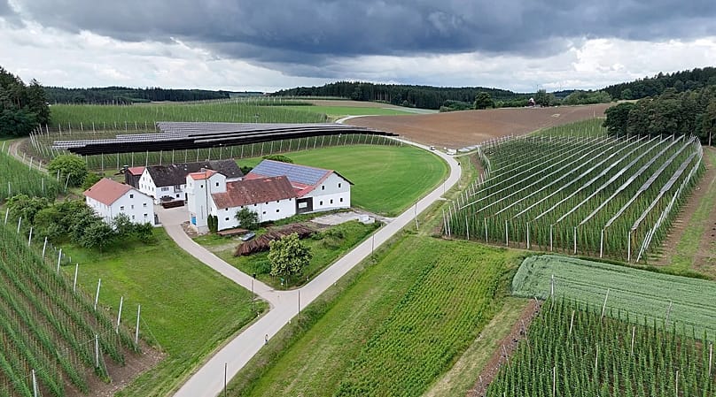 Agri-PV macht den Hallertauer Hopfenanbau widerstandsfähiger gegen Klimawandel und Erderwärmung.