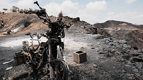 A view of a burnt area affected by wildfires in Bedar, 11 July, 2026