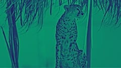 گزارشی از محیط زیست در ایران در سایه جنگ و مشکلات اقتصادی 