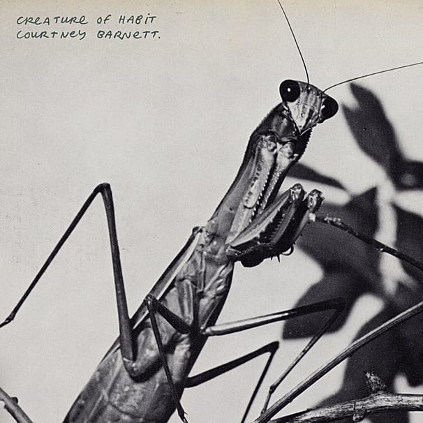 Courtney Barnett – Creature Of Habit