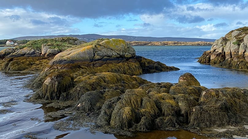 La Wild Atlantic Way de Irlanda 