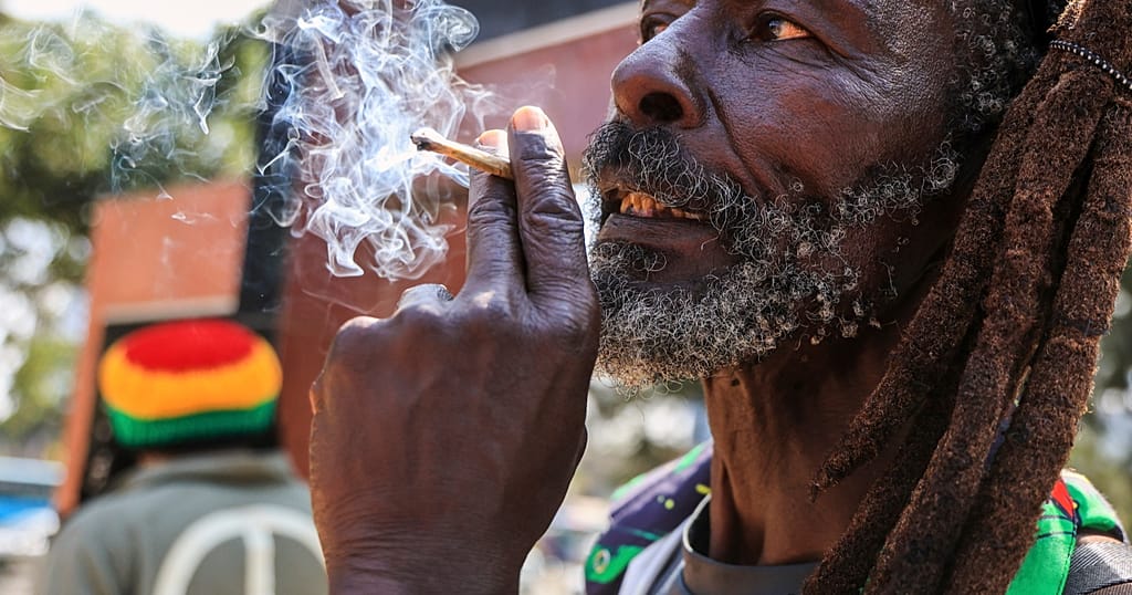 Kenya : déception des rastafaris après le rejet de la légalisation du cannabis