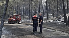 Feuerwehrleute stehen neben verkohlten Bäumen nach einem Waldbrand im Waldgebiet von Fontainebleau südlich von Paris, Frankreich, am 14. Juli 2026