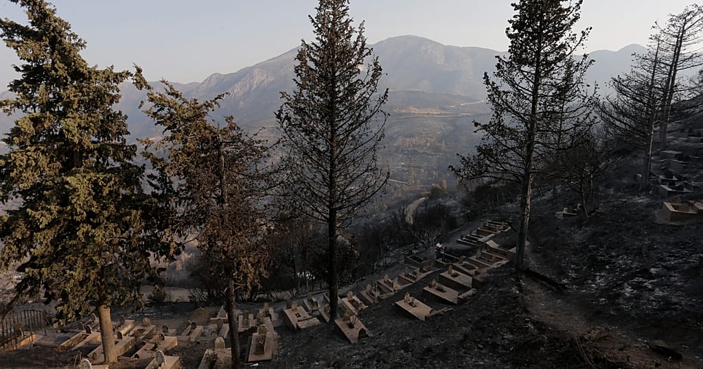 Au moins un mort dans des feux de forêt dans le nord de l'Algérie