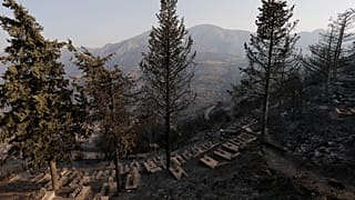 Algérie : les feux de forêt ravagent le nord, au moins un mort