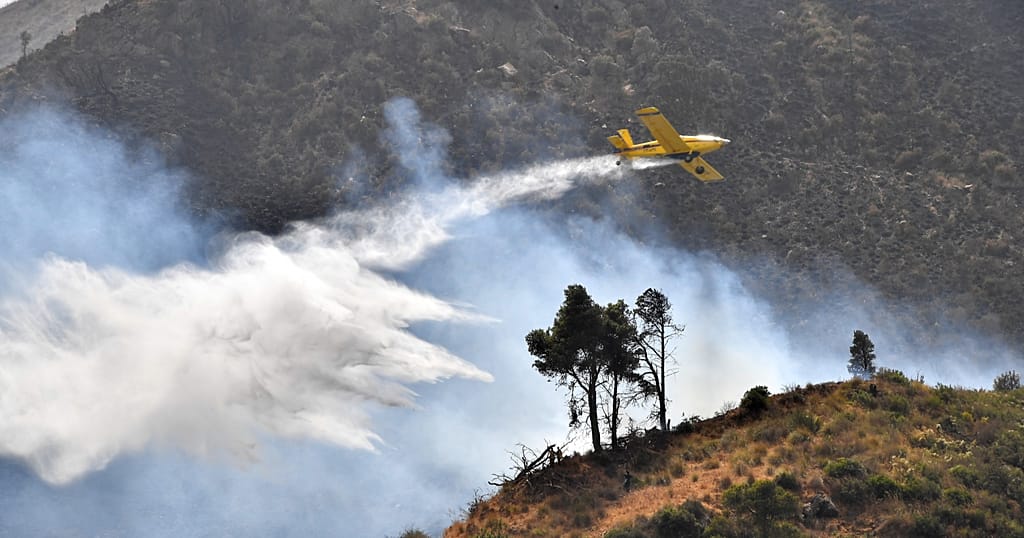 Algeria: over 100 fires, emergency services mobilized in 45 provinces