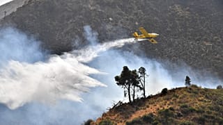 Algeria battles intense wildfires amid heatwave