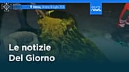 Le notizie del giorno | 18 luglio 2026 - Pomeridiane