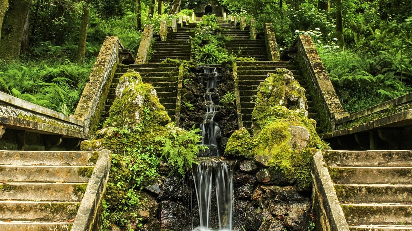 Healing trees: Iberian Peninsula's first therapeutic forest is in Portugal