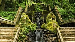 Foresta di Bussaco