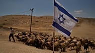  راعي فلسطيني في شمال غور الأردن بالضفة الغربية المحتلة، يوم الثلاثاء 23 يونيو/حزيران 2026