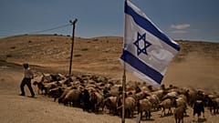  راعي فلسطيني في شمال غور الأردن بالضفة الغربية المحتلة، يوم الثلاثاء 23 يونيو/حزيران 2026