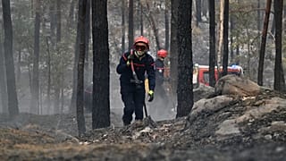 Un pompier transporte une lance à incendie après un feu de forêt dans la région de la forêt de Fontainebleau, au sud de Paris, en France, mardi 14 juillet 2026