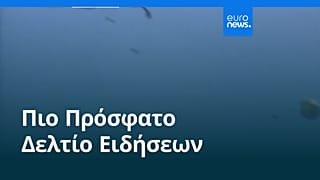 Ειδήσεις | 20 Ιουλίου 2026 - Βραδινό δελτίο