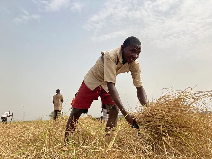 O agricultor Mohammed Abdul trabalha em uma plantação de arroz na vila de Agatu, nos arredores do estado de Benue, na região centro-norte da Nigéria, na quarta-feira, 5 de janeiro de 2022.