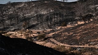 A view of a burnt area affected by wildfires in Bedar, near Almeria, Spain, Saturday, July 11, 2026.