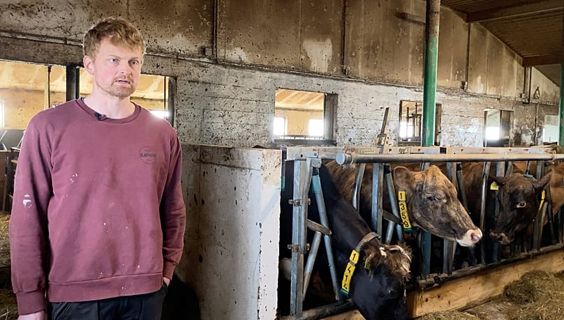 Der Landwirt Stefán Geirsson vermarktet Milch und Rindfleisch aus Islands wichtigster Agrarregion