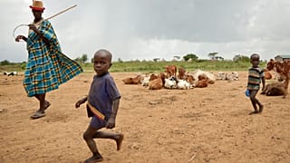 Ouganda : un programme d'aide alimentaire d'urgence pour faire face à la sécheresse