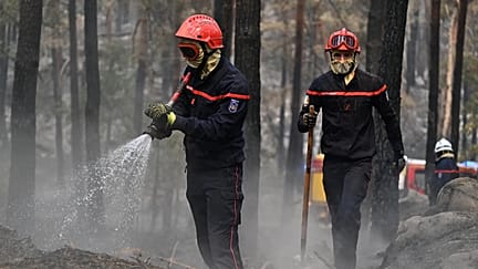 Wildfire in southern France under control, blaze rages on in Spain | Euronews