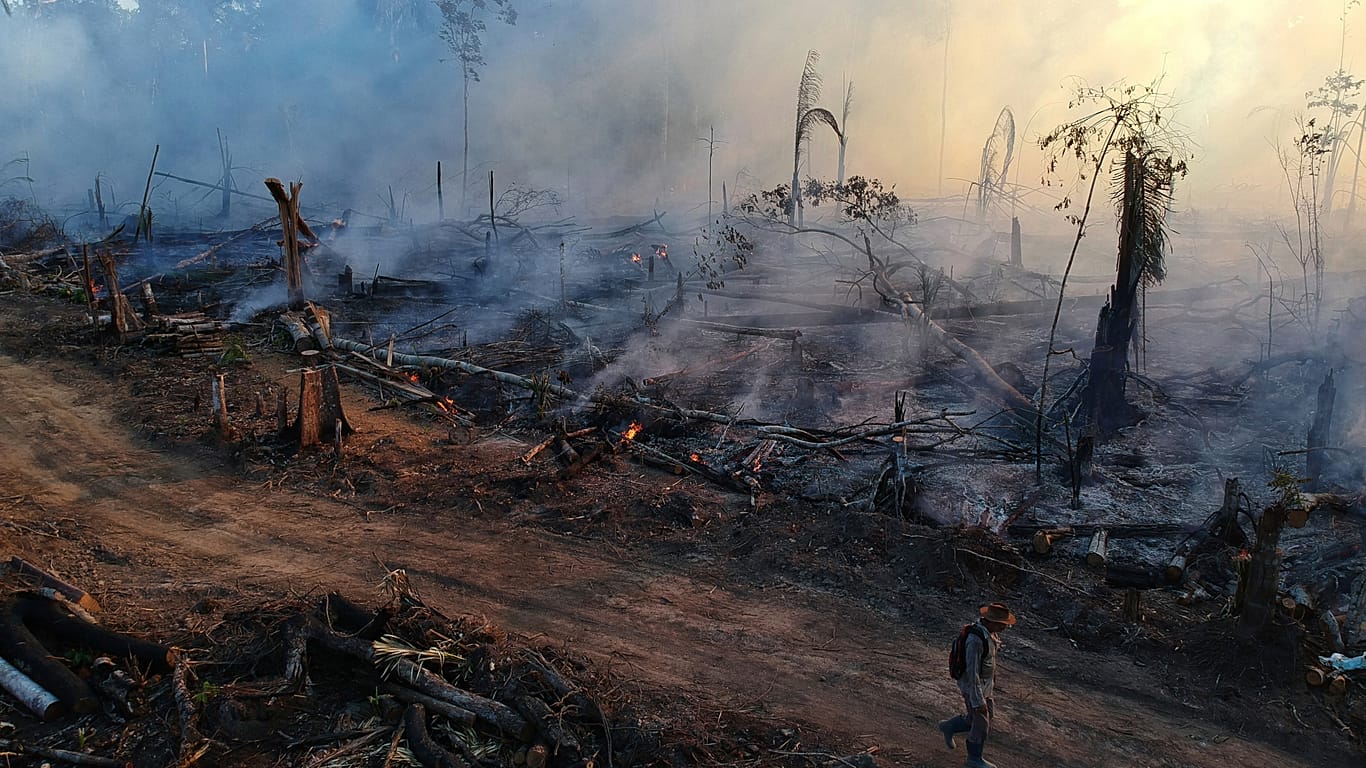 2025 forest fires in Amazon at all time recorded low 