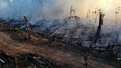 Un hombre camina por un camino de tierra asfaltado en una zona arrasada por incendios cerca de Labrea, estado de Amazonas, Brasil, viernes 7 de agosto de 2020.