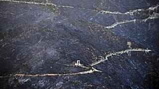 Six killed in Algeria forest fires: interior ministry