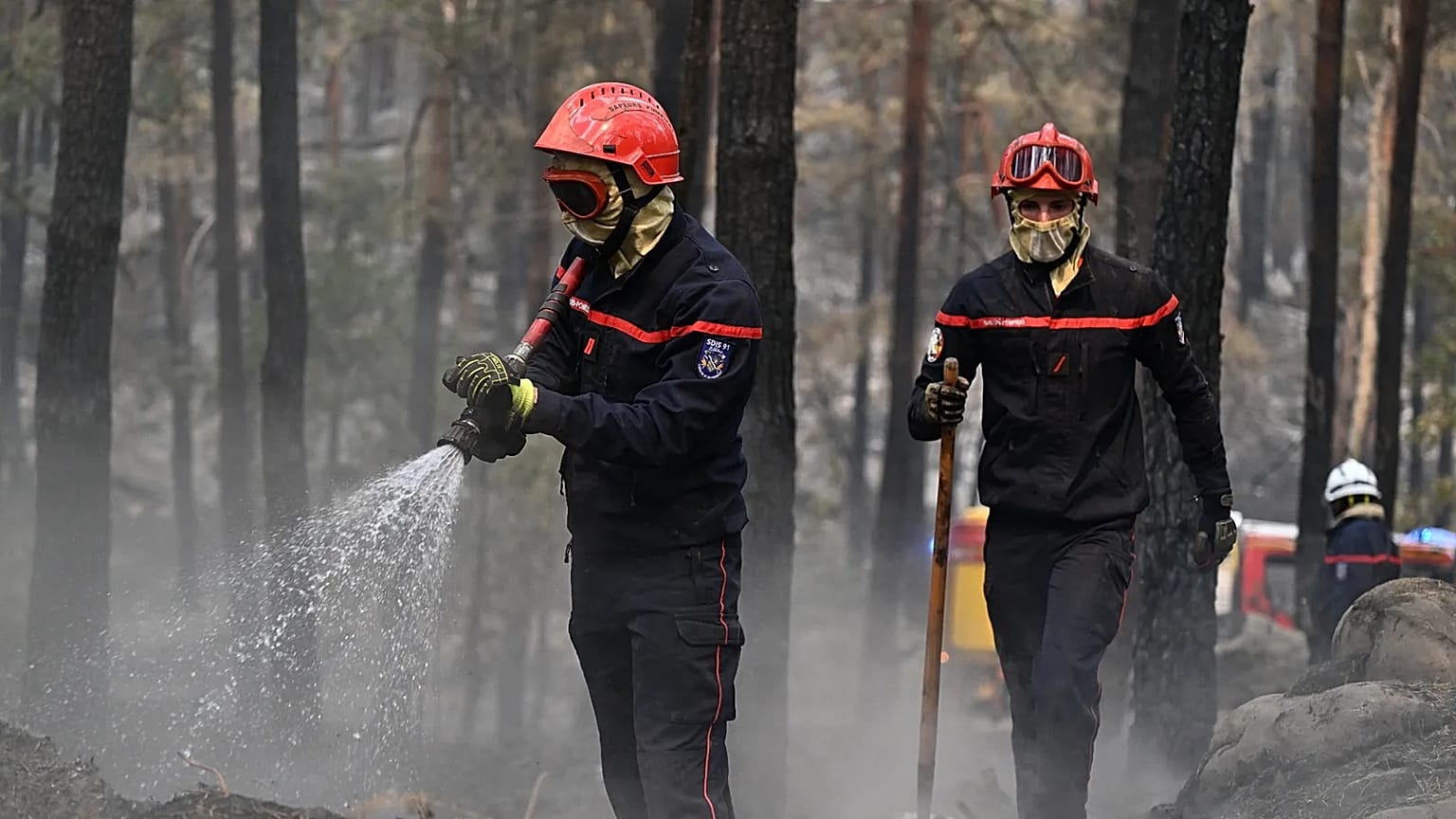 Bomberos actúan entre los árboles calcinados tras un incendio forestal en la zona del bosque de Fontainebleau, al sur de París, el 14 de julio de 2026