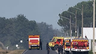 Des pompiers interviennent parmi les arbres calcinés à la suite d'un incendie de forêt dans la région de la forêt de Fontainebleau, au sud de Paris, le 14 juillet 2026