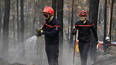 Des pompiers interviennent parmi les arbres calcinés à la suite d'un incendie de forêt dans la région de la forêt de Fontainebleau, au sud de Paris, le 14 juillet 2026