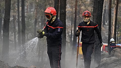 Tűzoltók dolgoznak az összeégett fák között a Fontainebleau-erdő térségében, Párizstól délre, egy erdőtűz után, 2026. július 14-én