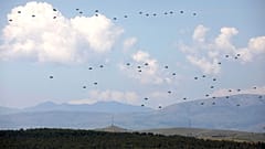 Maniobras militares Swift Response 22 en Macedonia, 12 de mayo de 2022 (AP Foto/Boris Grdanoski)