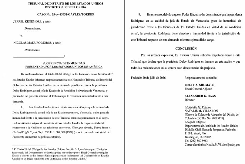 Carta de sugerencia de inmunidad para Delcy Rodríguez