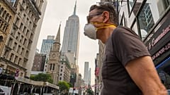 Soot from wildfires can enter the lungs and bloodstream.