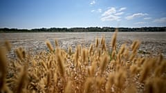 Vista del casi seco lago Pergusa, cerca de Caltanissetta, en el centro de Sicilia, Italia, que antes era reserva de agua para gran parte de la región, 19 de julio de 2024.