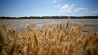 Vista del casi seco lago Pergusa, cerca de Caltanissetta, en el centro de Sicilia, Italia, que antes era reserva de agua para gran parte de la región, 19 de julio de 2024.