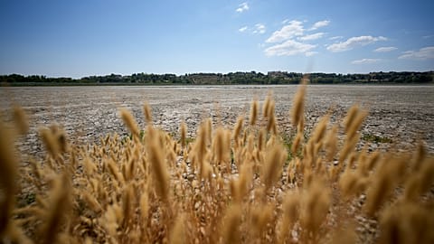 A view of the almost dry lake Pergusa, near Caltanissetta, central Sicily, Italy, that once served as a water reserve for large part of central Sicily, Friday, July 19, 2024.