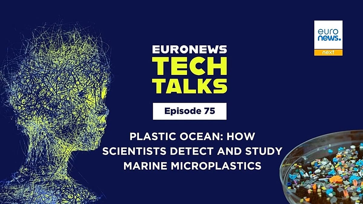 Meeresverschmutzung durch Mikroplastik: Wie Wissenschaftler sie entdecken