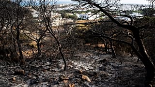 Extreme heatwave grips Tunisia as wide power cuts fuel frustration