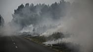 Une forêt en feu, près de Louchats, à 35 km de Landiras, en Gironde, dans le sud-ouest de la France, le lundi 18 juillet 2022.