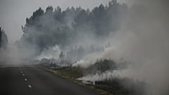 Лесной пожар возле Луша, в 35 км от Ландираса, в Жиронде, на юго-западе Франции, в понедельник, 18 июля 2022 года.