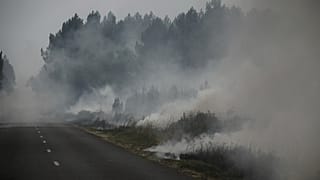 Une forêt en feu, près de Louchats, à 35 km de Landiras, en Gironde, dans le sud-ouest de la France, le lundi 18 juillet 2022.