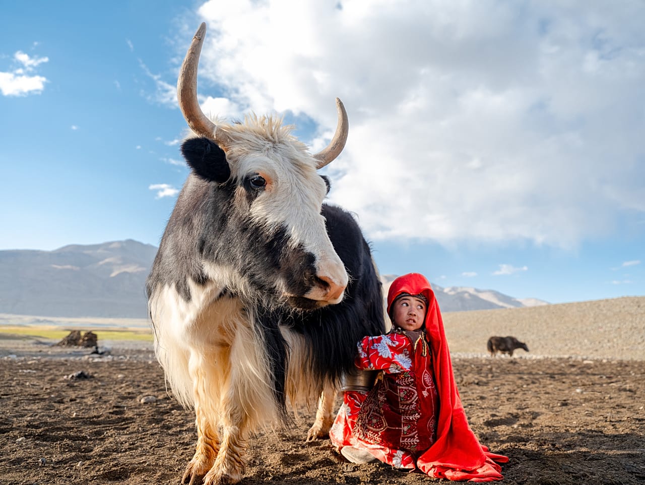 Shargha a mungir um iaque