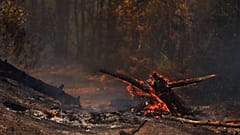 Las llamas arrasan la vegetación durante un incendio forestal en Cotignac, Francia, el miércoles 22 de julio de 2026, mientras la sequía empeora tras una ola de calor.