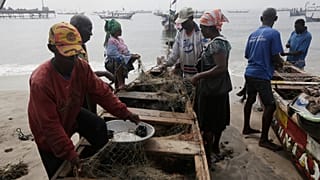 Conservationists working to protect Ghana's endangered fish