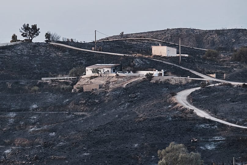 Vista de una zona calcinada afectada por los incendios forestales en Bedar, cerca de Almería (España), el sábado 11 de julio de 2026.