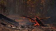Les flammes ravagent la végétation à Cotignac, ce mercredi 22 juillet 2026, alors que la sécheresse s'aggrave à la suite d'une vague de chaleur.