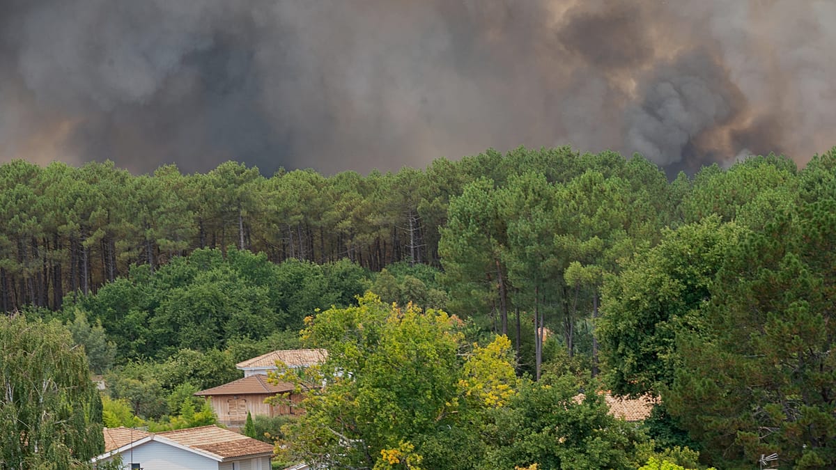 France: Massive blaze engulfs Cap Ferret forests as thousands evacuated