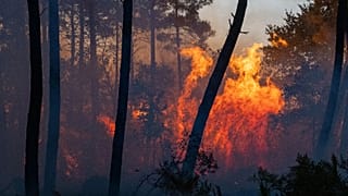 Wildfires advance near Le Proge region, western France, Thursday, July 23, 2026.